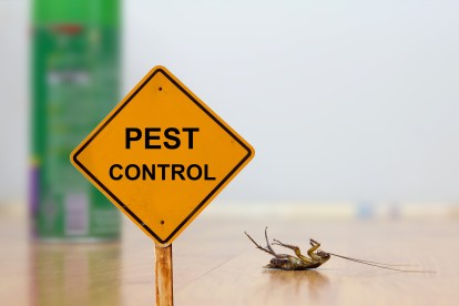 Pest Contol in Rotherhithe, South Bermondsey, Surrey Docks, SE16. Call Now 020 8166 9746